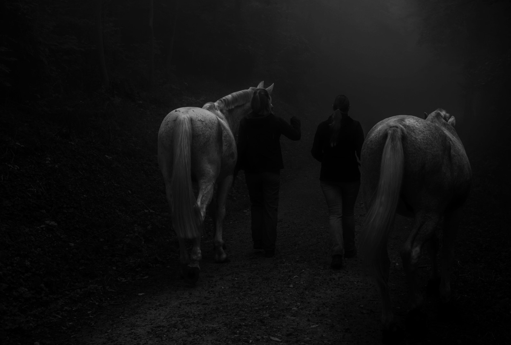 01 Gang%20ins%20geheimnisvolle%20Dunkel