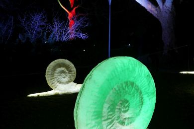 Juchert: Winterlichter 2