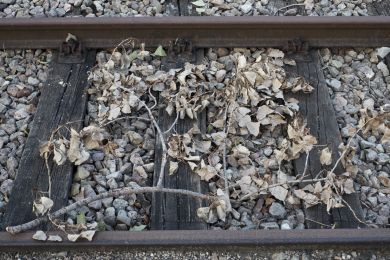 Martus: Zwischen den Gleisen