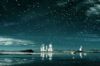 Janet Harvey: Geothermische Möwen IR