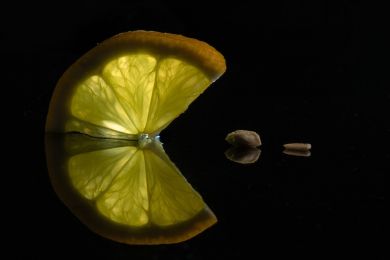 Jürgen Fesser: Zitronenhai