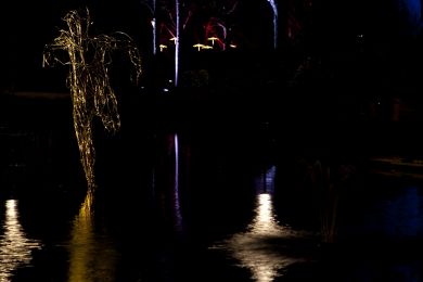 Krieger: Winterlichter 2