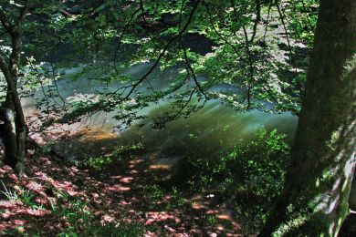 Helga Arnold: lichtdurchflutet