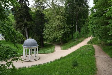 Bernhard Martus: Nach Kilian Schönberger
