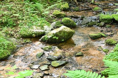 Klares Wasser (bru)