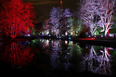 Juchert: Winterlichter 1