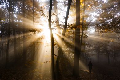 Dr. Helmut Raab: Lichtexplosion