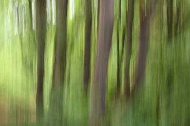 Bernhard Martus: ICM