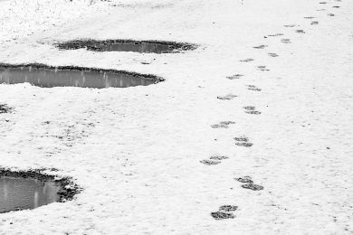 Dr. Helmut Raab: Fußspuren