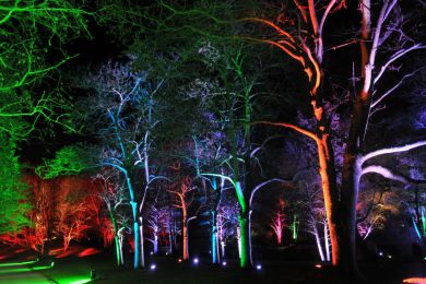 Müller: Winterlichter 1