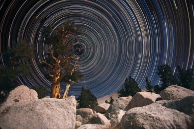 Harvey: Sternenkreis