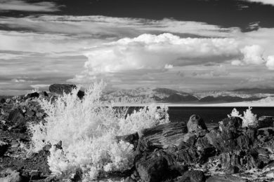 Janet Harvey: IR schneidet durch den Dunst III