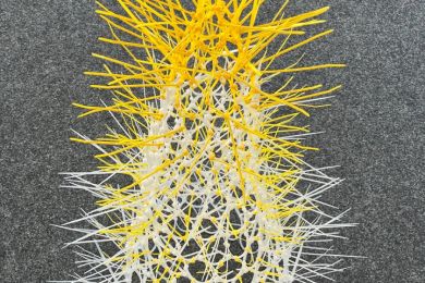 Dr. Hans Assmus: ohne Titel