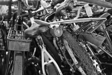 Anke Lerch: Radchaos