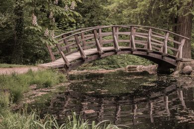 Heinrich Schneider: Die Brücke